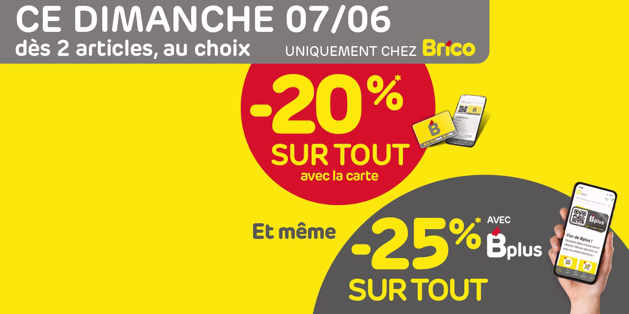 Promo Brico