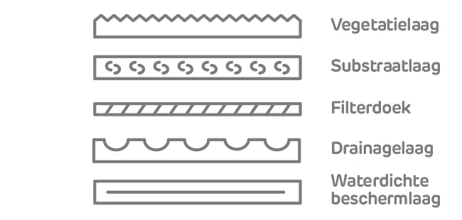 illustratie verschillende lagen sedumdak