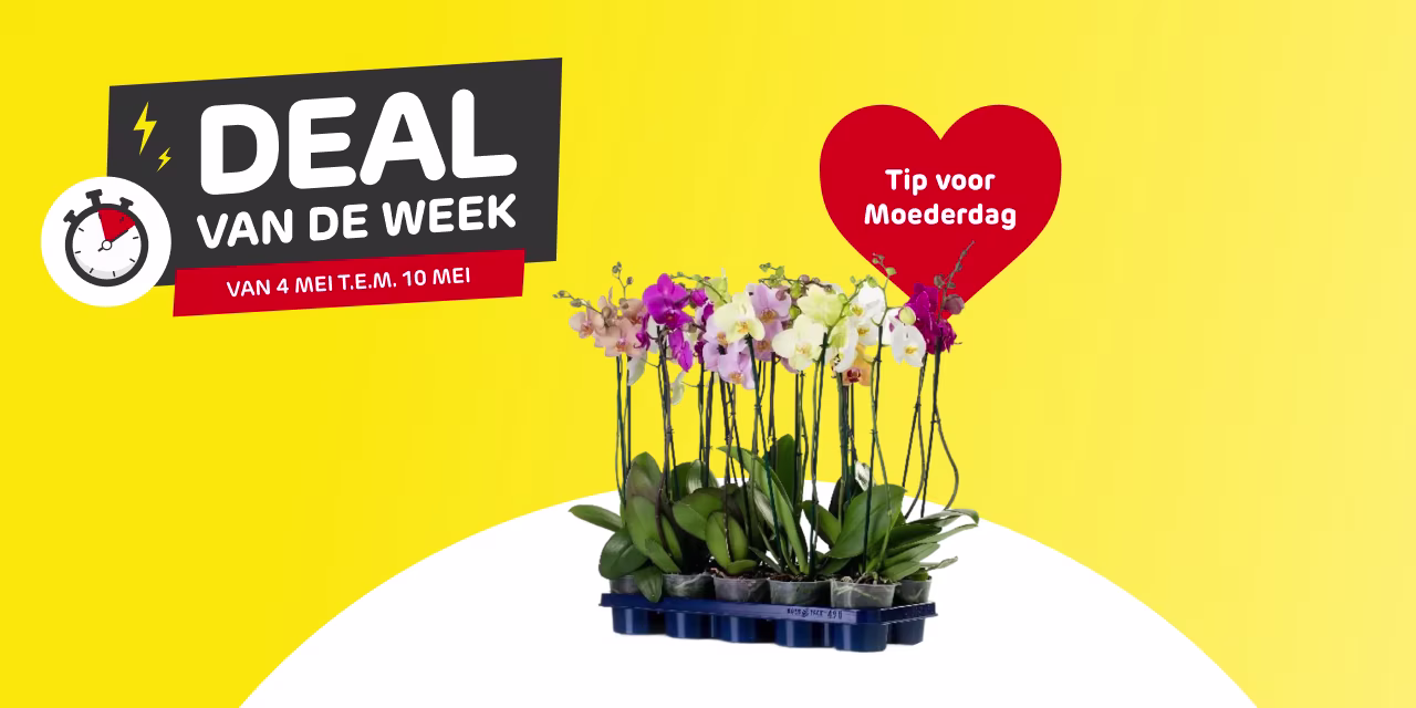 Deal van de week