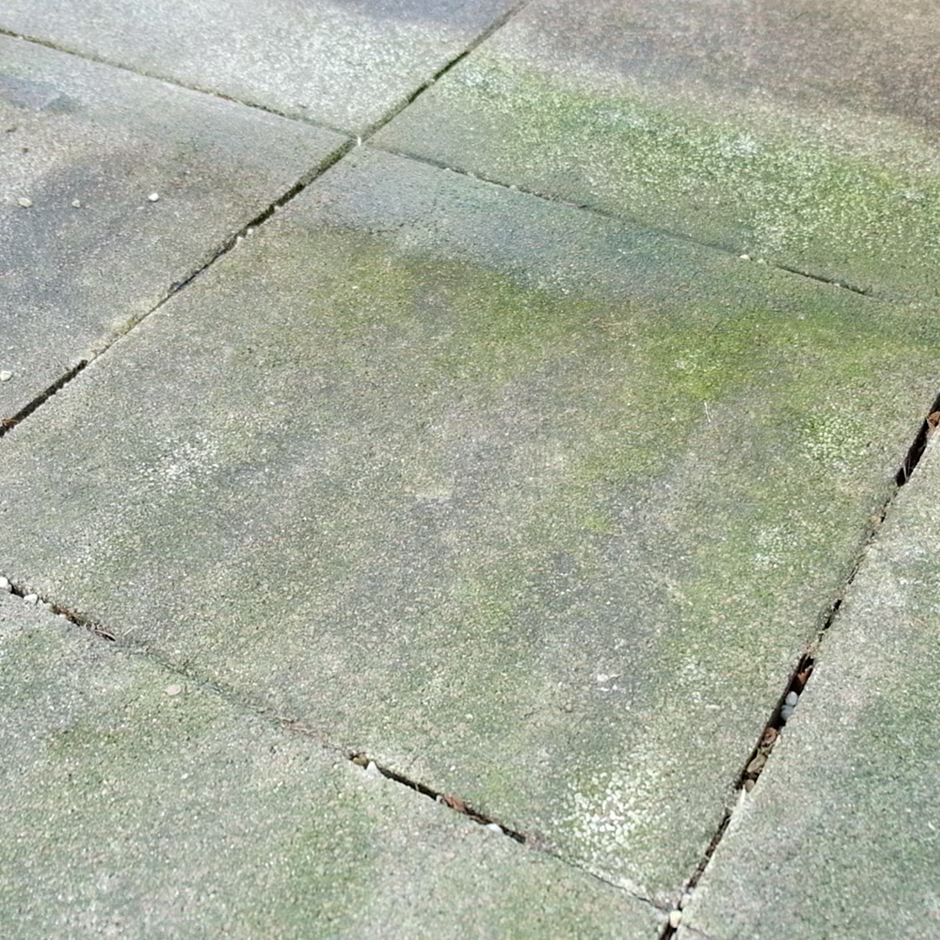 Groene aanslag op tegels