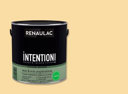 18% de remise sur la peinture murale Renaulac Intention