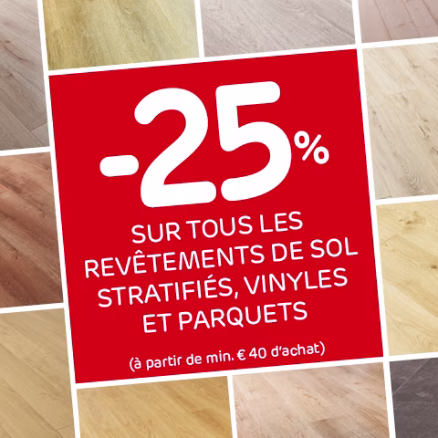 Brico promo