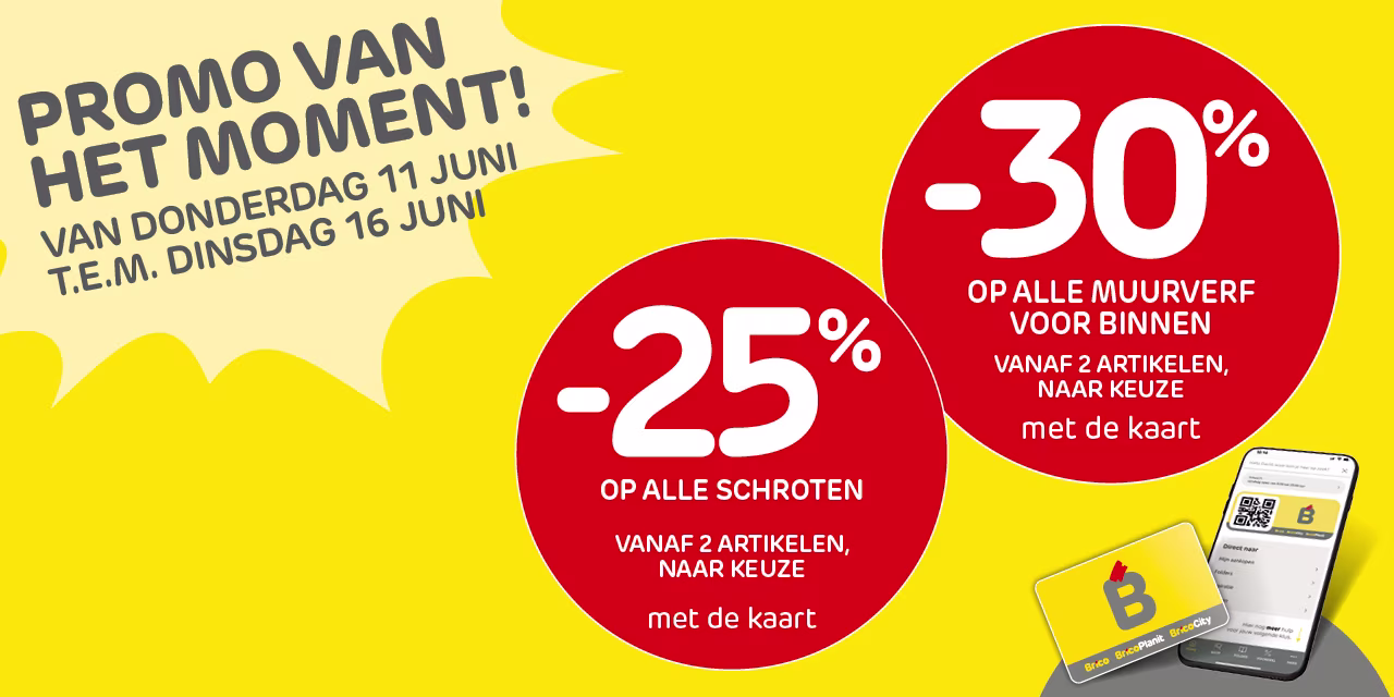 Brico promos