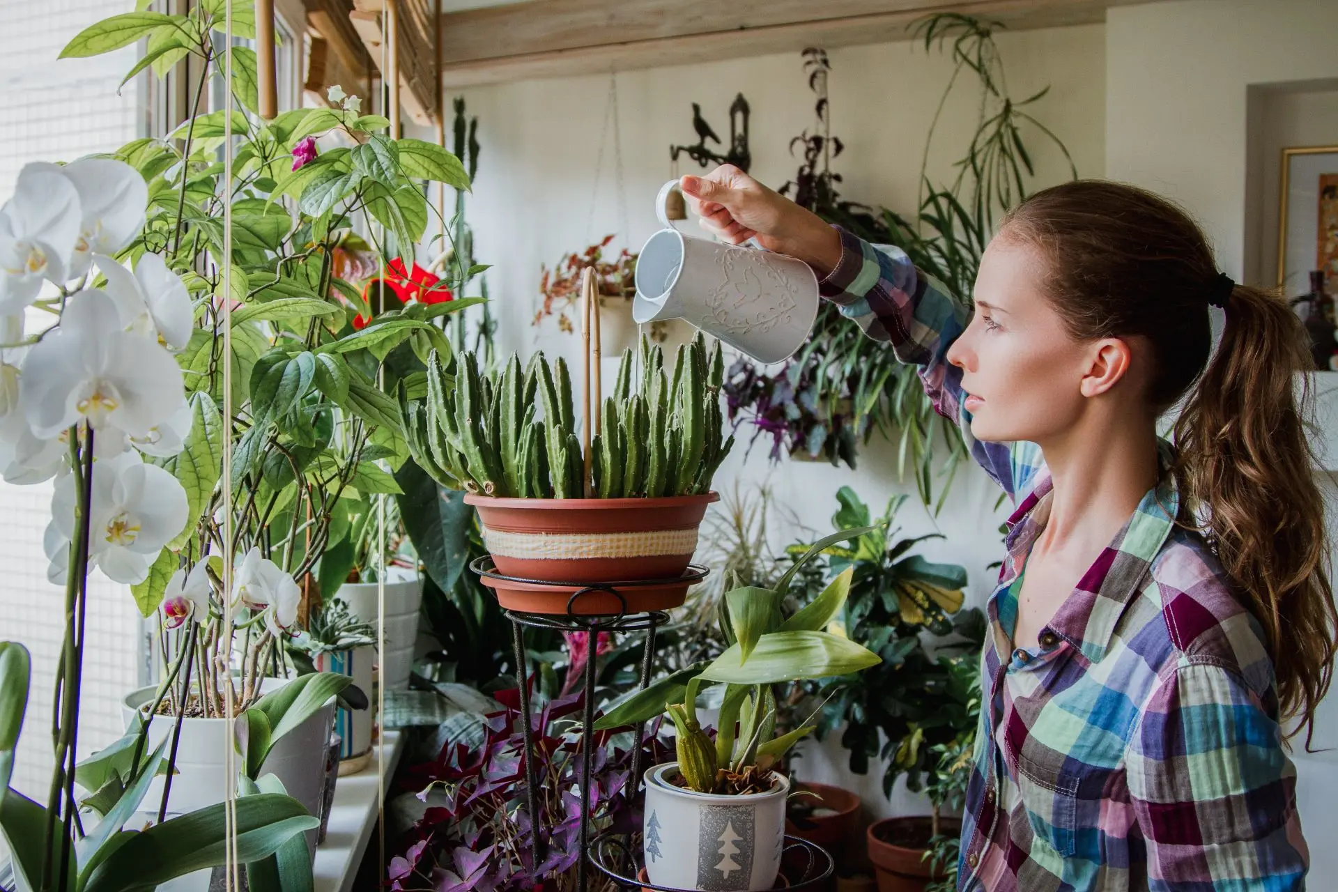 Planten binnen water geven? Zo doe je dat!