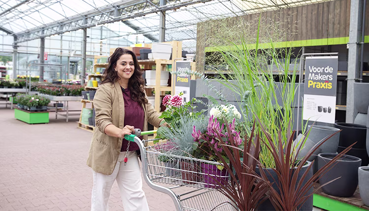 Tuinplanten Souraya