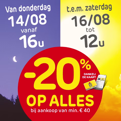 Promo Brico