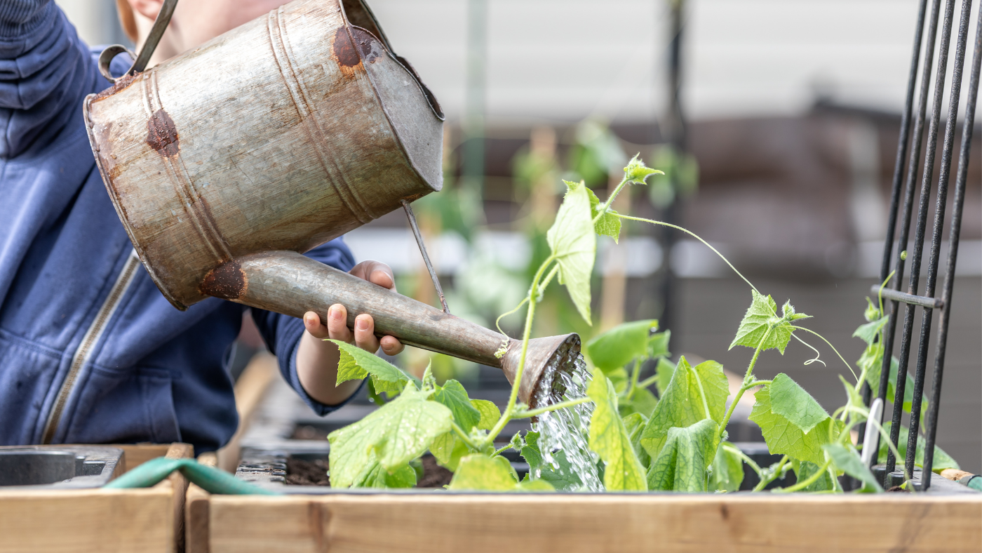 jongentje geeft moestuin water | jeune garçon arrosant son potager