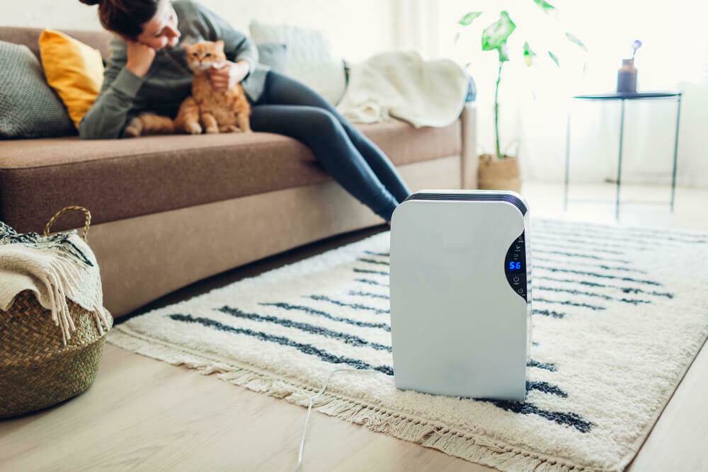 Déshumidificateur électrique pour chambre à coucher