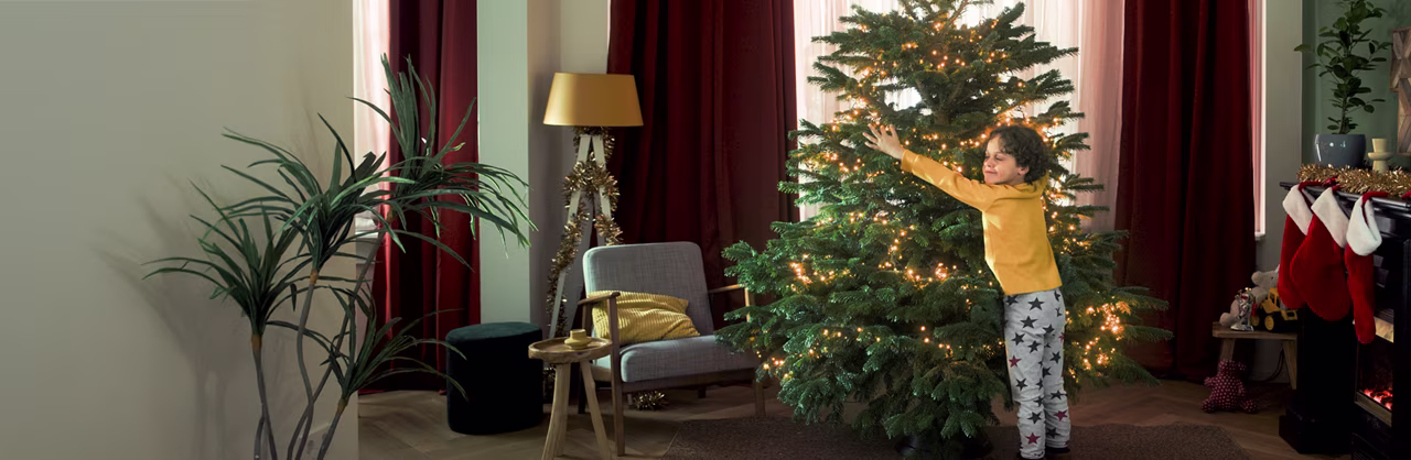 De mooiste kerstbomen voor de laagste prijs bij Praxis