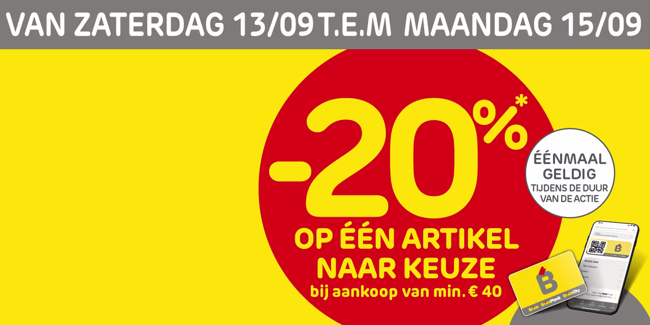 Brico promos