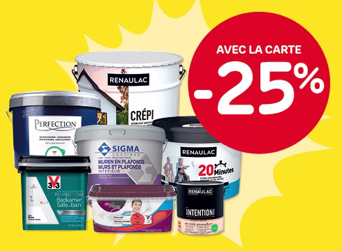 25% de remise sur toute la peinture à partir de 2 articles au choix
