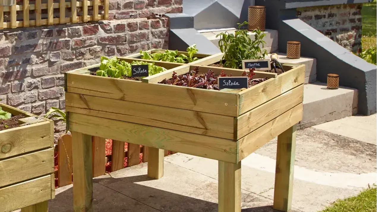 Moestuinbak met salade en kruiden in | Bac de jardinage avec des salades et des herbes dedans.