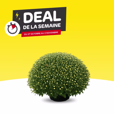 Deal de la semaine