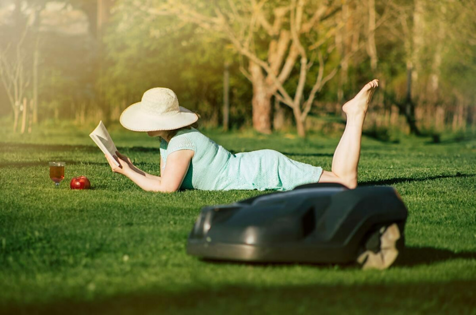 Waarom het gras groener is aan de overkant | Brico.be