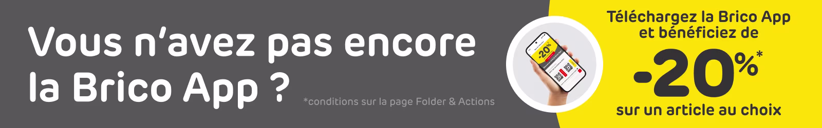 Remise de bienvenue