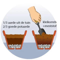 Een hand plaatst kleikorrels en meststof in een pot met een schepje