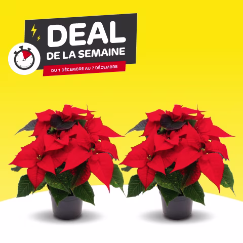Deal de la semaine