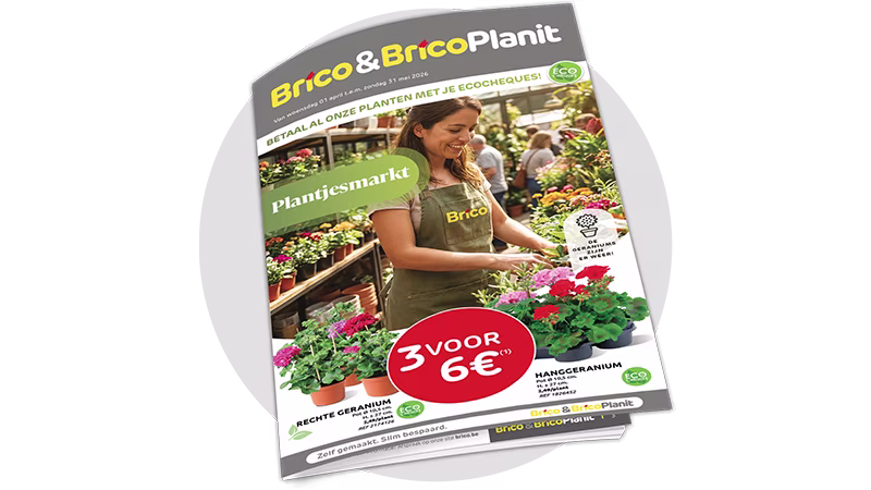 cover planjesmarkt folder