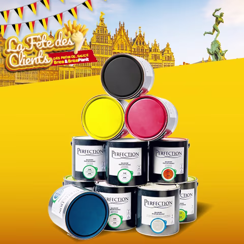 F17 Promo folder - Perfection paint. fr-BE. Promo Brico peinture Perfection