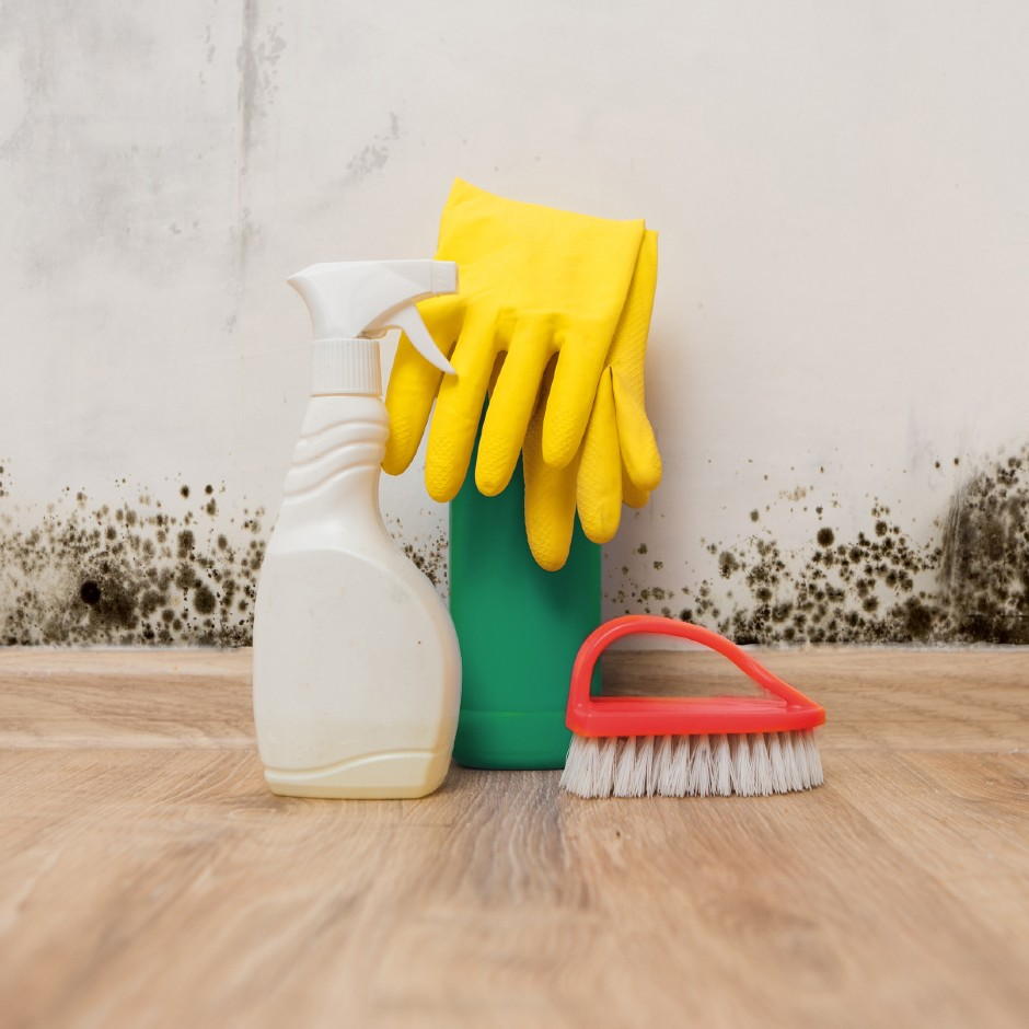 Schimmel Verwijderen In Huis (Op Muur En In Badkamer) | Praxis