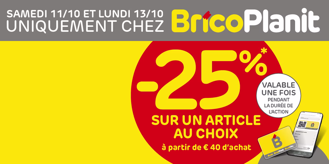 Remise BricoPlanit seulement
