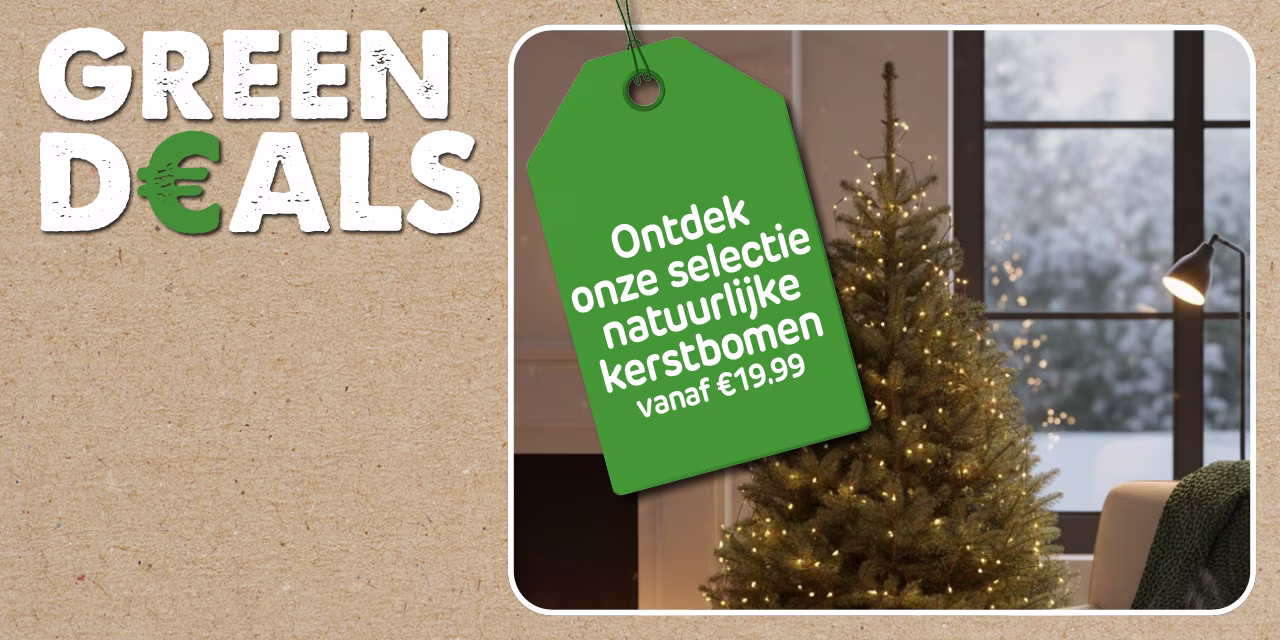 natuurlijke kerstboom in de winkel