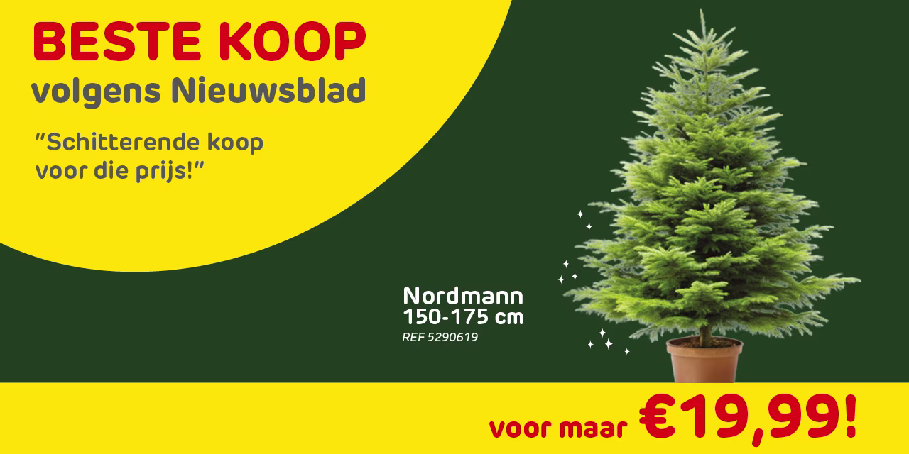 natuurlijke kerstboom in de winkel