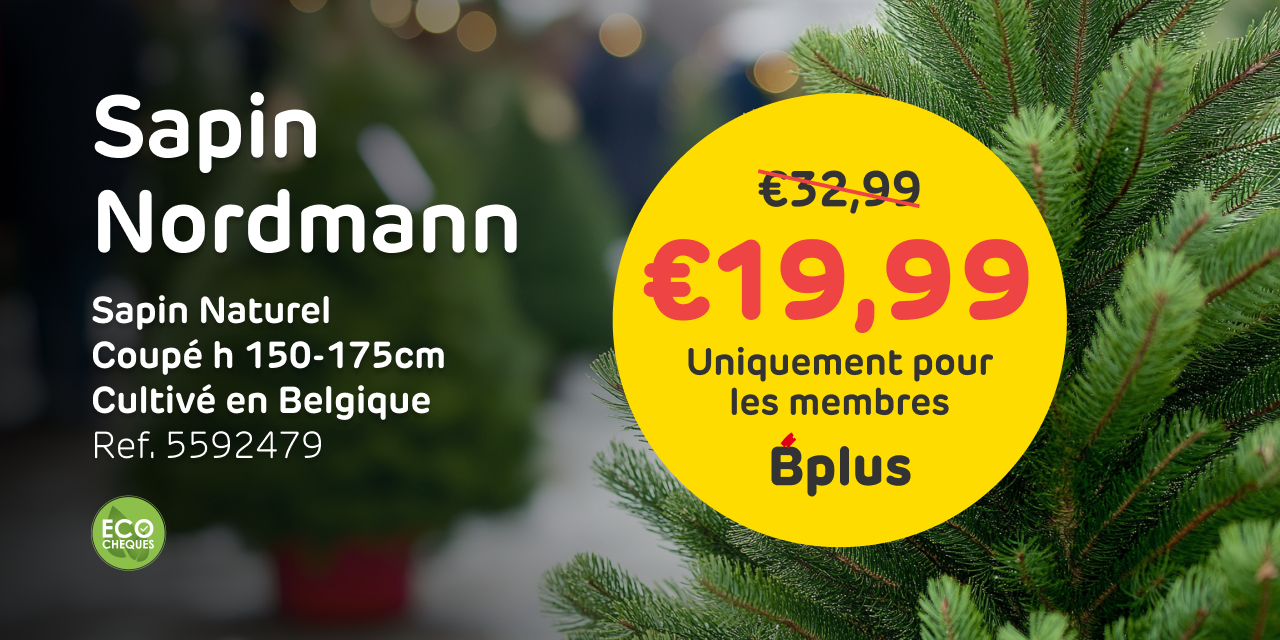 Action sapin Noel Nordmann avec Bplus