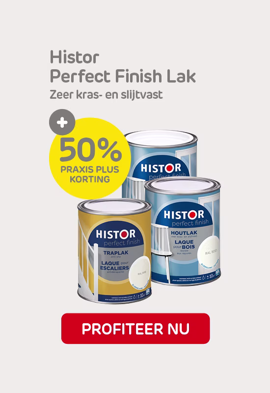 241227 RMB_Histor Perfect Finish_Desktop_550x800.jpg