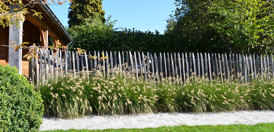 Kastanjehouten afsluiting van je tuin 