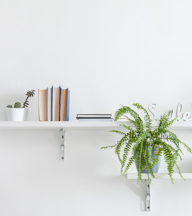 Witte planken gemonteerd aan een witte muur met daarop boeken en planten | Étagères blanches montées sur un mur blanc avec des livres et des plantes.