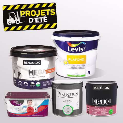 Promo Brico peinture