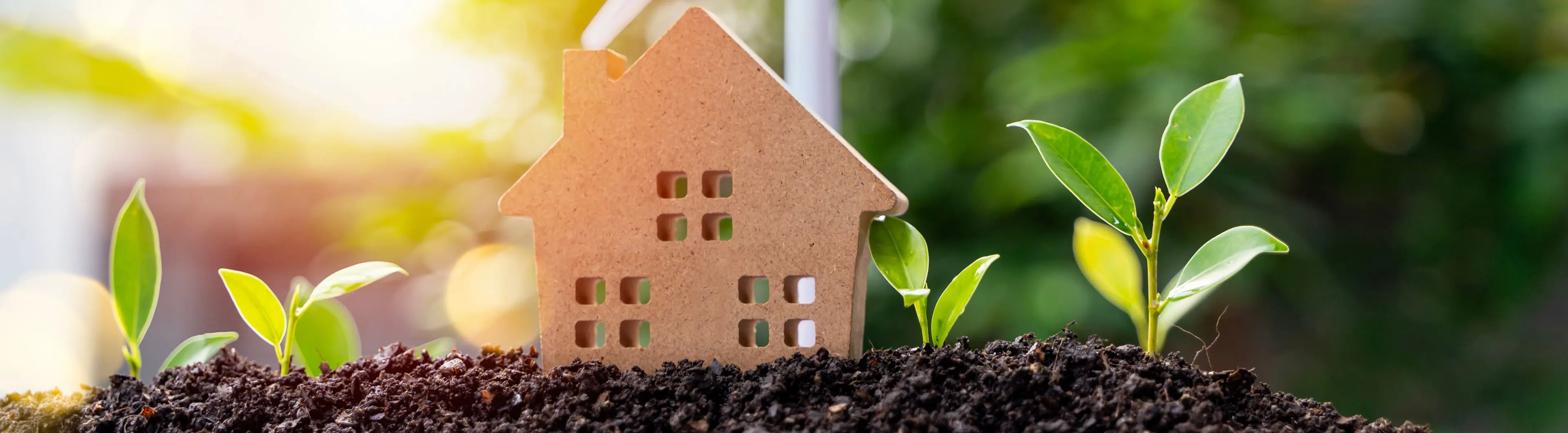 Kartonnen huismodel op aarde met jonge plantjes, symbool voor duurzame en hernieuwbare energie | Modèle de maison en carton sur la terre avec des jeunes plantes, symbole d'énergie durable et renouvelable