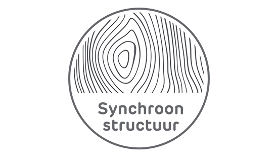 synchroonstructuur logo