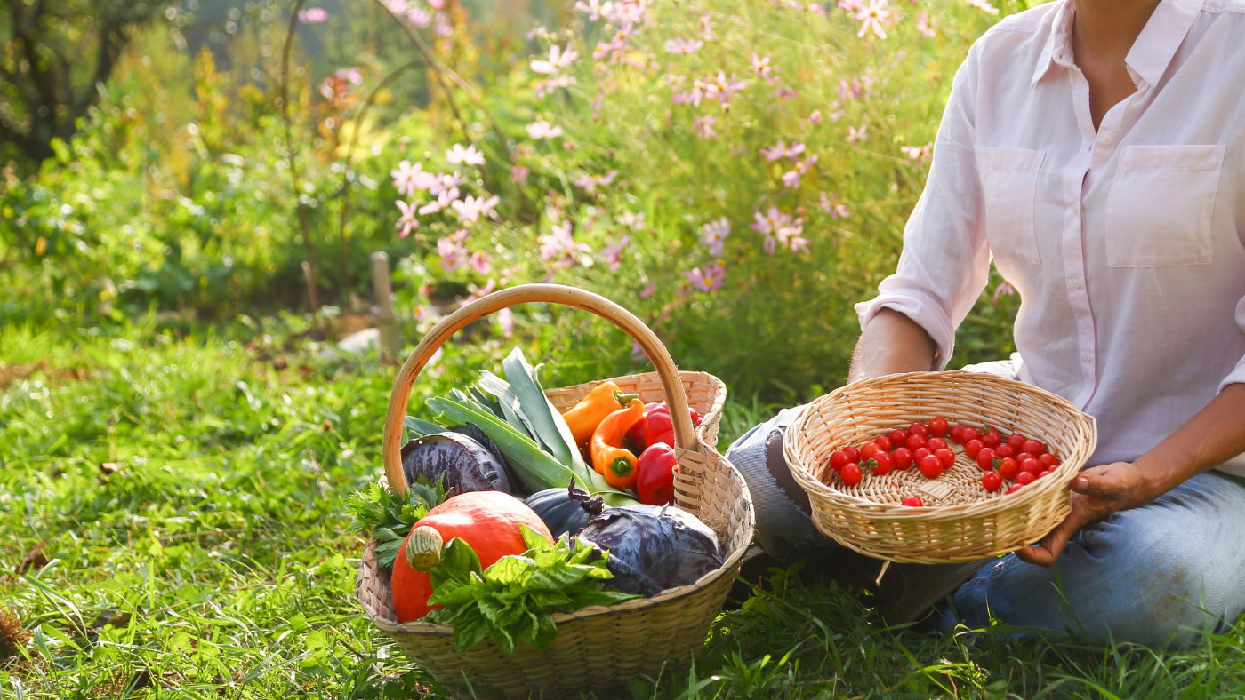 Vrouw zit in de tuin met haar oogst in een mand | Femme assise dans le jardin avec sa récolte dans un panier