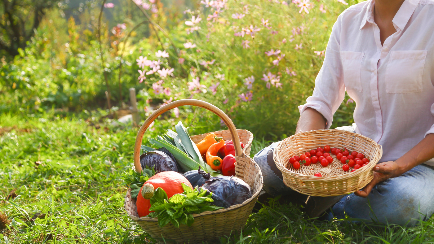 Calendrier de jardinage de septembre