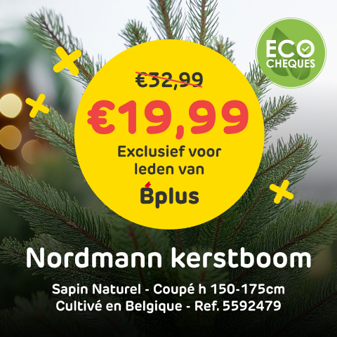 Nordmann kerstboomcampagne met Bplus