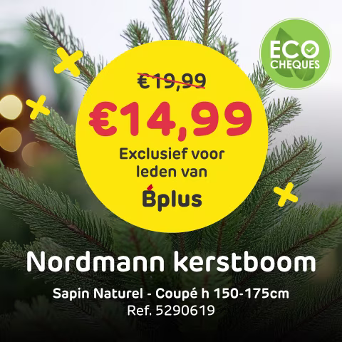 Nordmann kerstboomcampagne met Bplus