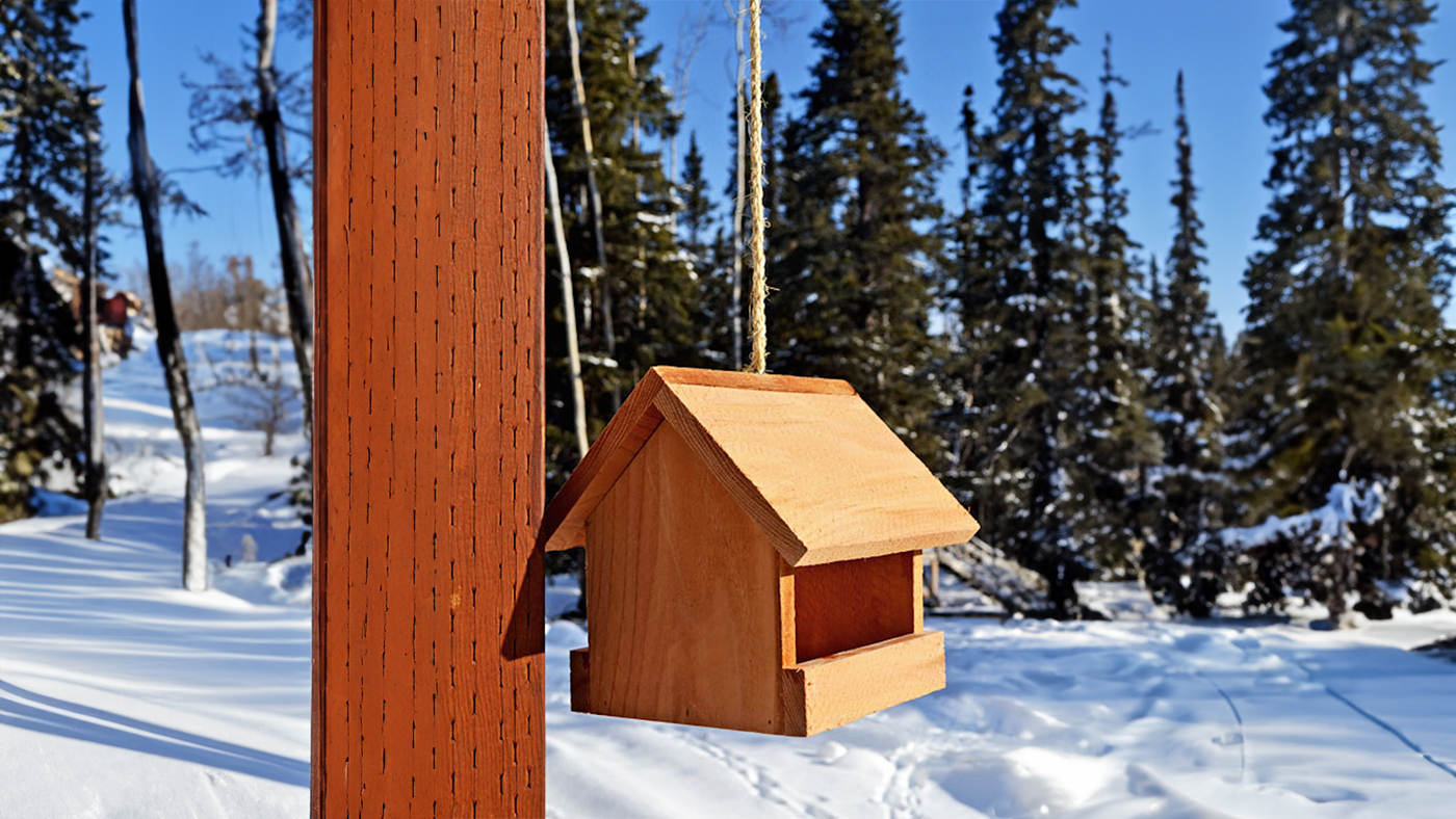 Fabrication d'une mangeoire pour oiseaux 