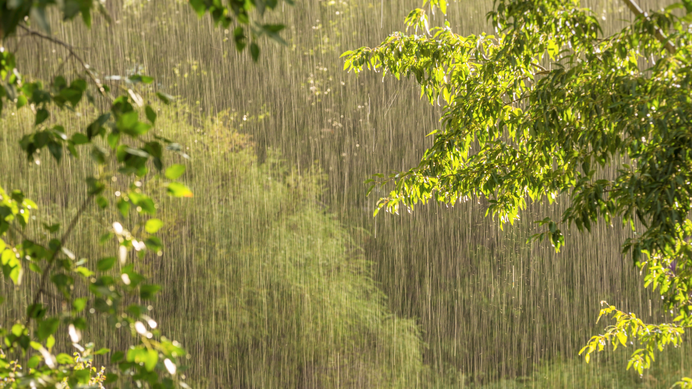 slagregen | pluie torrentielle