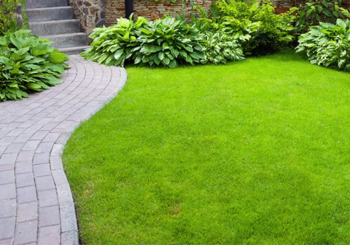 Tuin