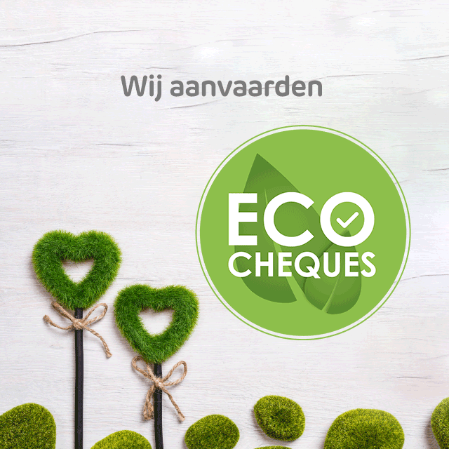 Ecocheques