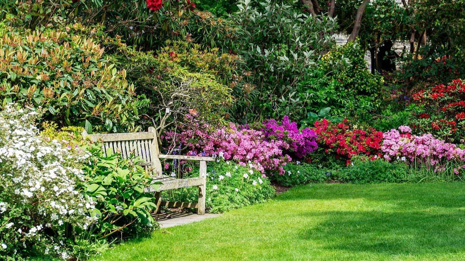 Een groene tuin | Un jardin vert