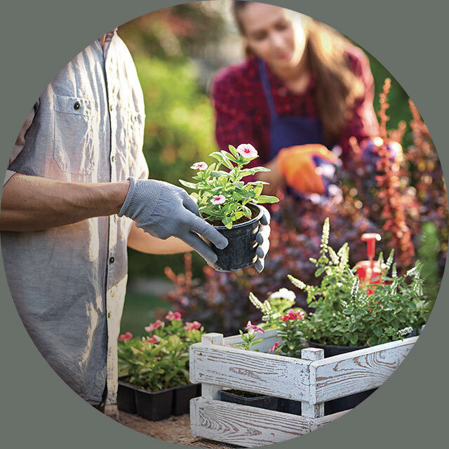 Koppel dat tuiniert | Couple qui jardine
