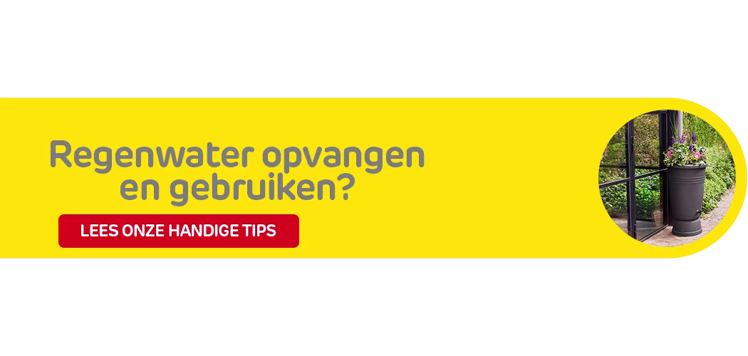 Inspiratie regenwater opvangen en gebruiken