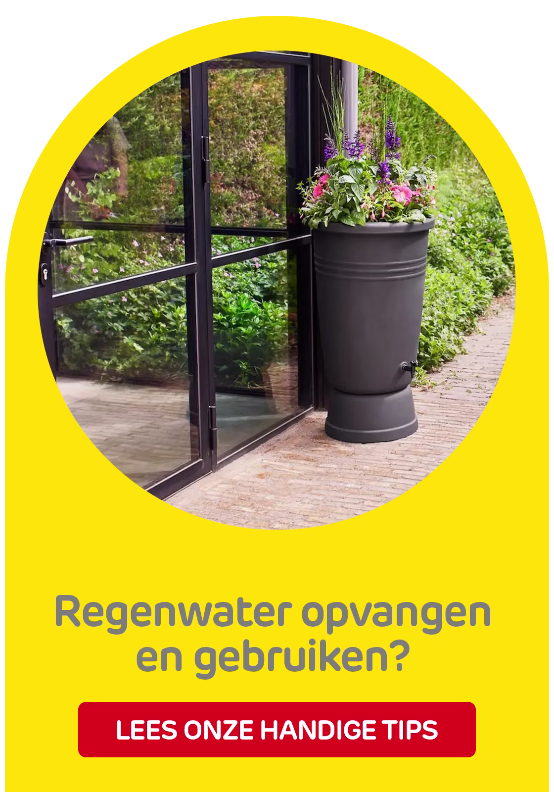 Inspiratie regenwater opvangen en gebruiken