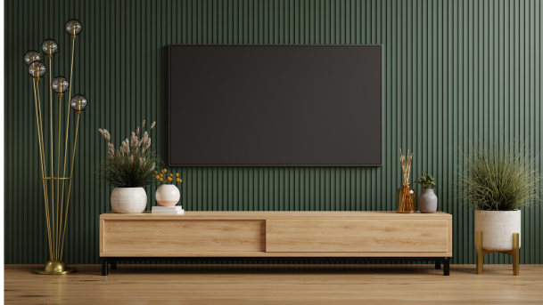 TV ruimte met groene muur | Salon avec mur vert