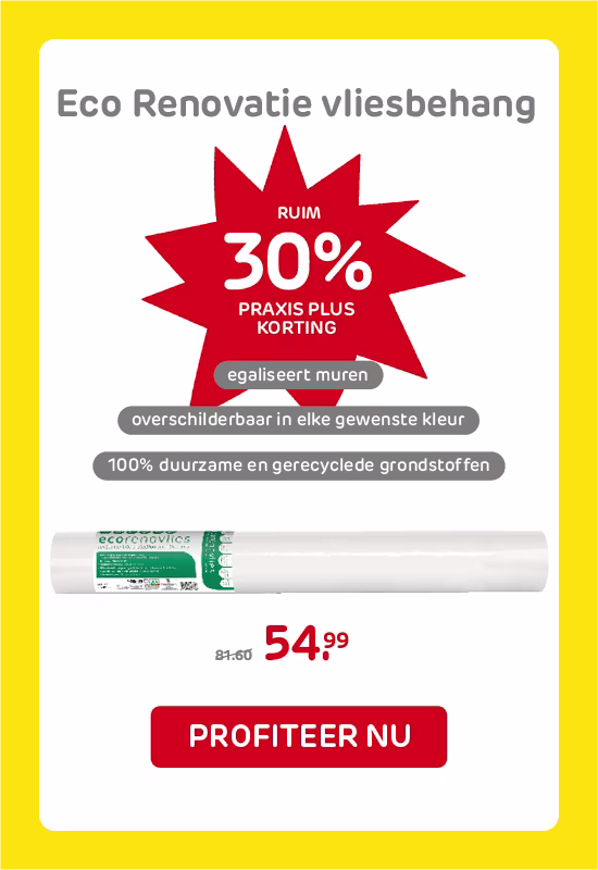 Korting op renovatiebehang | Praxis