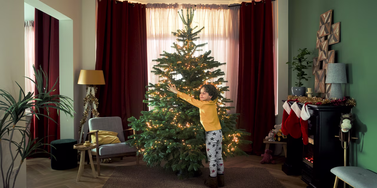 Bekijk alle Nordmann kerstbomen bij Praxis