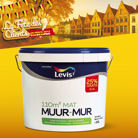 Promo Brico peinture murale Levis Mur blanc mat 10L